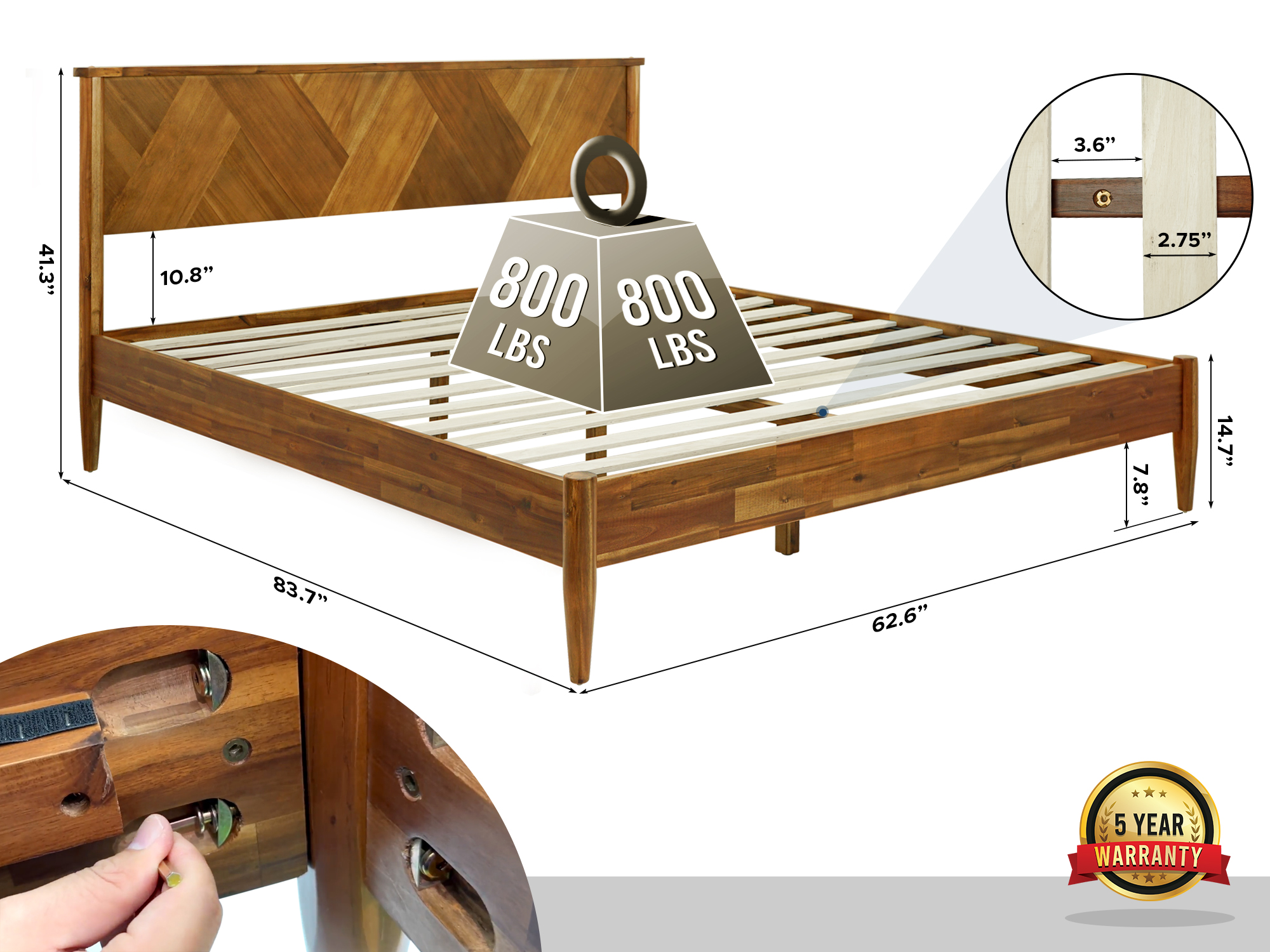 Panthera_Caramel_Queen_DIMENSION